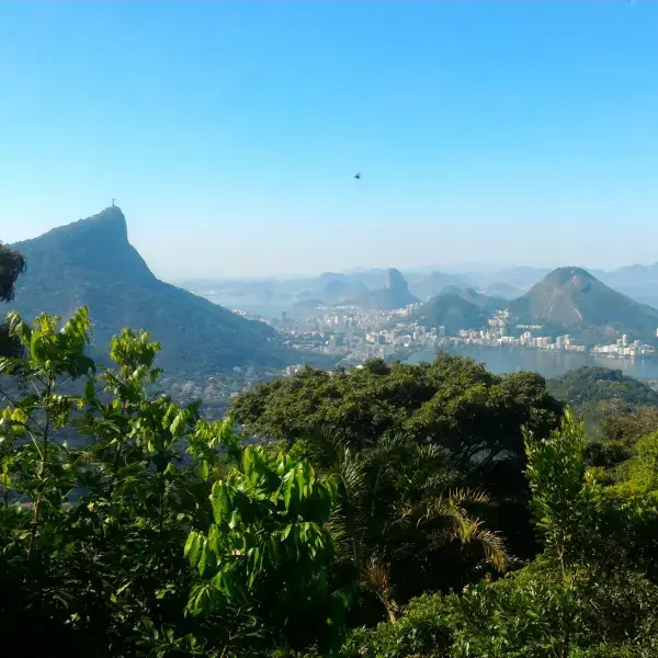 Chinese View Belvedere - Tijuca Rain Forest